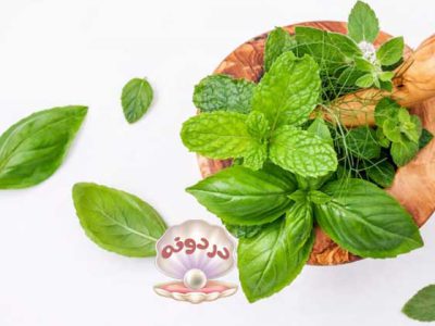 درمان خانگی در طب سنتی با استفاده از عرقیات گیاهان دارویی